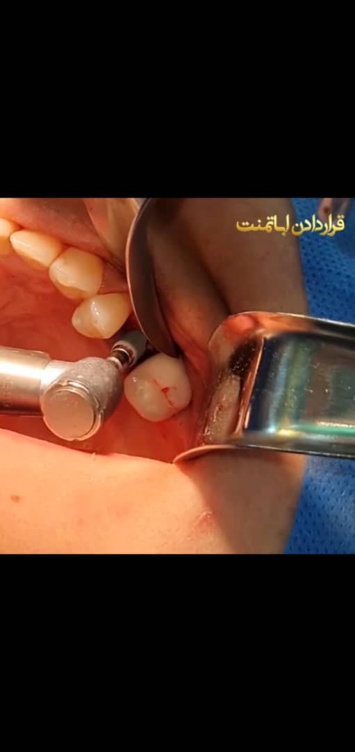 دکتر میترا وثوقی 