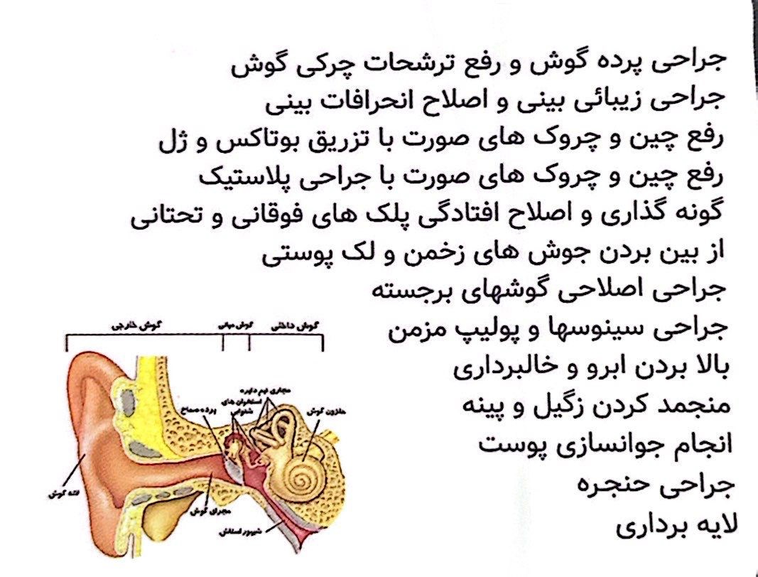 دکترفرینازکلاهی