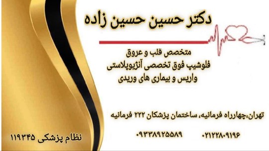 دکتر حسین حسین زاده